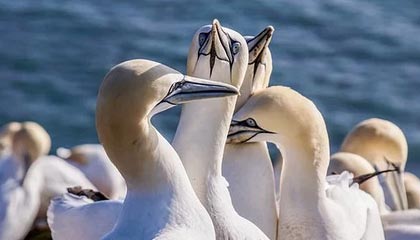 记者：德容和孔德今日被队友夹道欢迎，莱万将随队出战莱万特