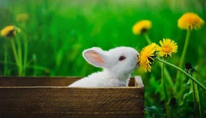 德媒：特尔施特根因伤退出巴萨沙特训练营|巴塞罗那|德国|半决赛|西班牙超级杯|毕尔巴鄂竞技_新浪体育_新浪新闻